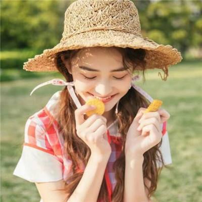 雪域龙影手机版下载